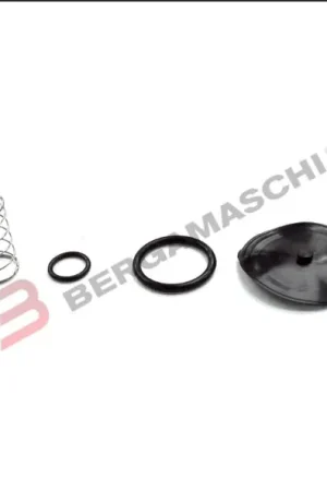 Vendita Finale KIT REVISIONE RUBINETTO BENZINA BENZINA HONDA TRANSALP 600 TUTTI GLI ANNI